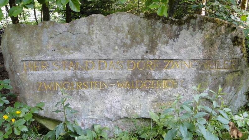Ritterstein Nr. 288-1 Hier stand das Dorf Zwingweiler - Zwingerstein - Waldgericht.JPG - Ritterstein Nr.288 Hier stand das Dorf Zwingweiler - Zwingerstein - Waldgericht